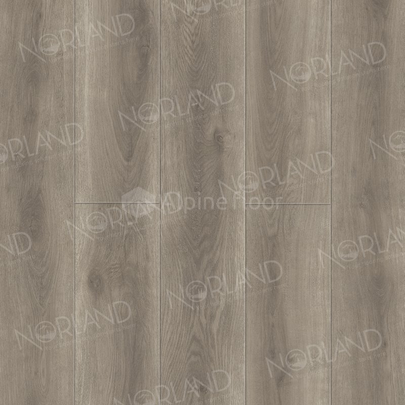 SPC Ламинат "Norland" Templet (1220*196*8 мм) — купить в Северодвинске