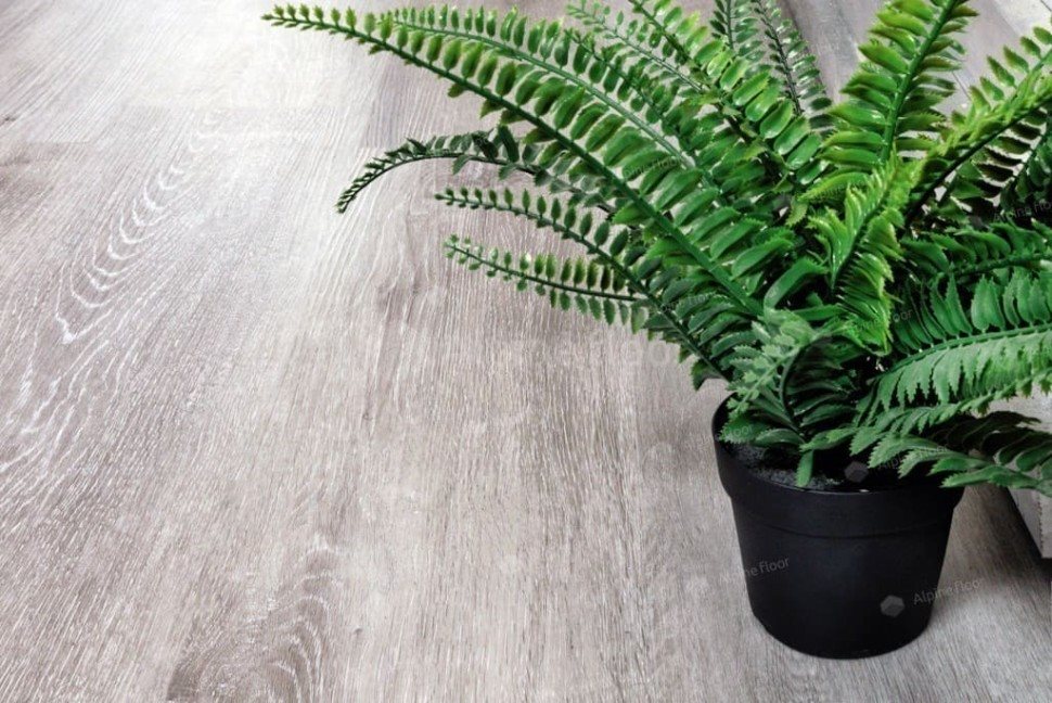 Виниловый ламинат "Alpine Floor" Classic Light MC Ясень Серый (1220*183*3,5 мм) — купить в Северодвинске